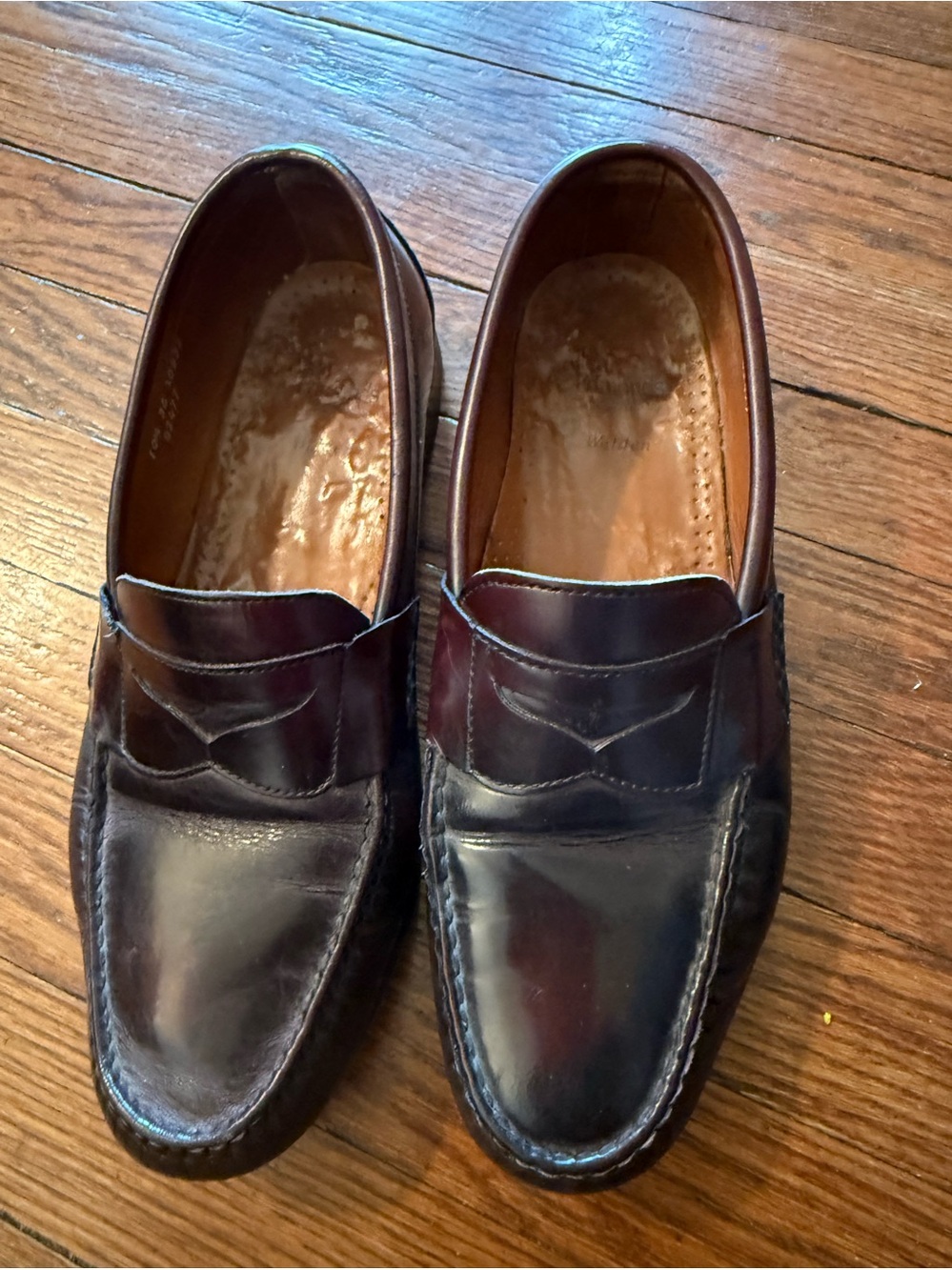 Allen Edmonds Walden Classic Men's Leather Penny Loafers in Dark Brown